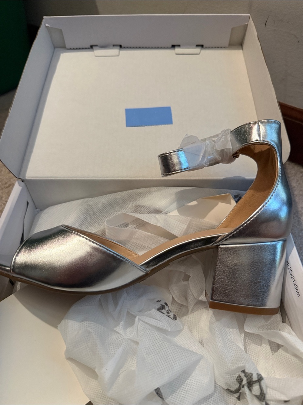 Dream Pairs Metallic shoes
